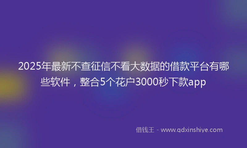 2025年最新不查征信不看大数据的借款平台有哪些软件，整合5个花户3000秒下款app