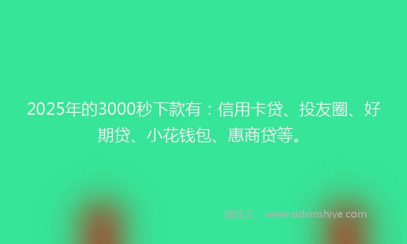 2025年的3000秒下款有：信用卡贷、投友圈、好期贷、小花钱包、惠商贷等。