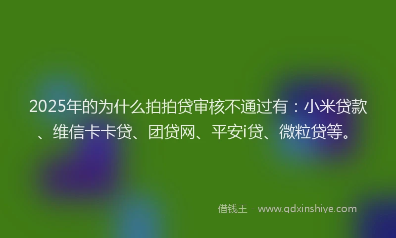 2025年的为什么拍拍贷审核不通过有：小米贷款、维信卡卡贷、团贷网、平安i贷、微粒贷等。