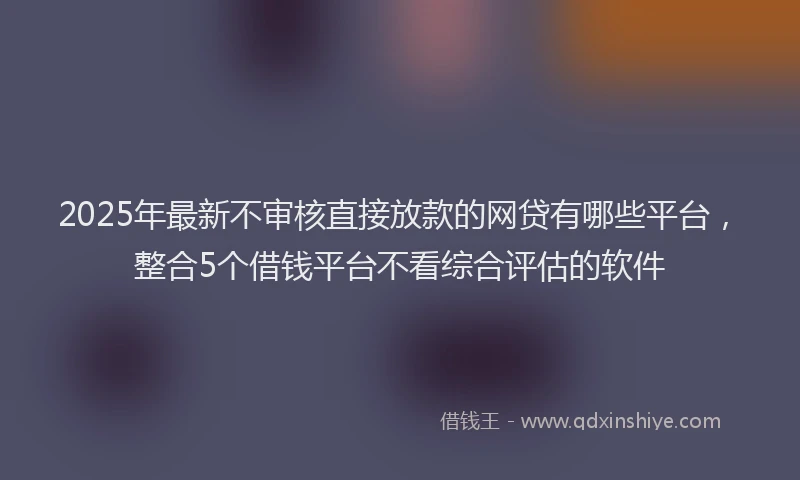 2025年最新不审核直接放款的网贷有哪些平台，整合5个借钱平台不看综合评估的软件