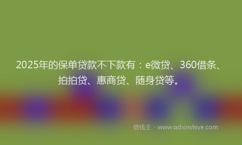 2025年的保单贷款不下款有：e微贷、360借条、拍拍贷、惠商贷、随身贷等。