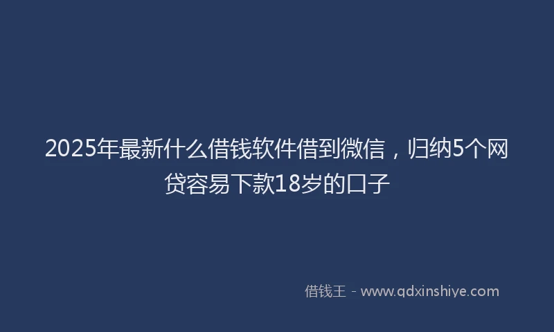 2025年最新什么借钱软件借到微信，归纳5个网贷容易下款18岁的口子