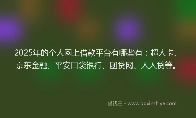 2025年的个人网上借款平台有哪些有：超人卡、京东金融、平安口袋银行、团贷网、人人贷等。