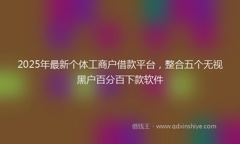 2025年最新个体工商户借款平台，整合五个无视黑户百分百下款软件