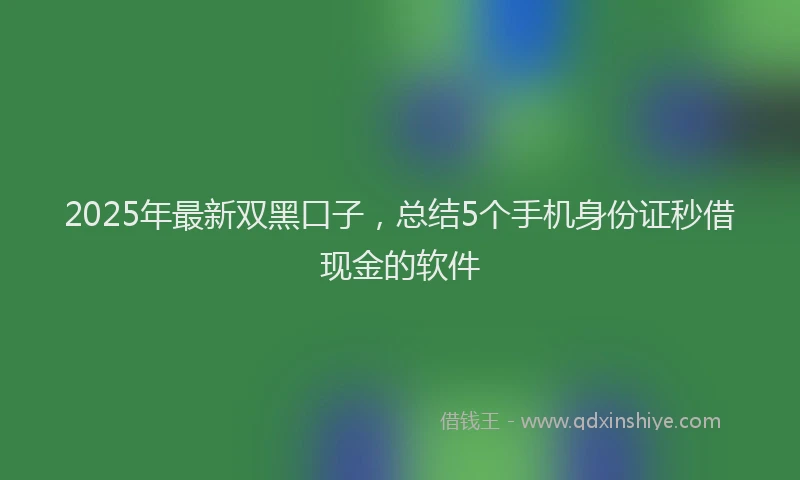 2025年最新双黑口子，总结5个手机身份证秒借现金的软件