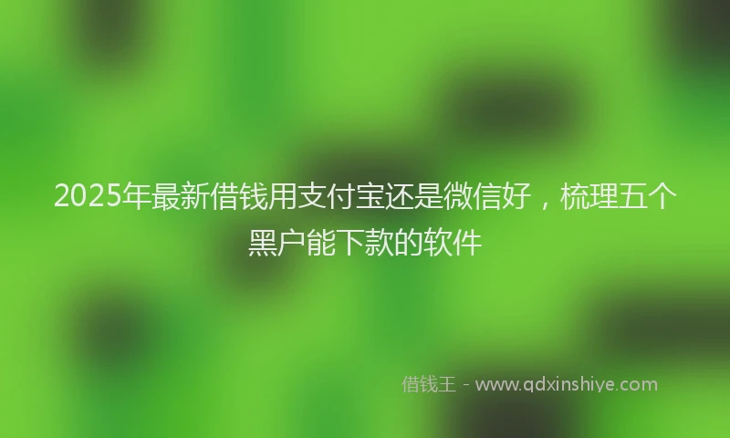 2025年最新借钱用支付宝还是微信好，梳理五个黑户能下款的软件