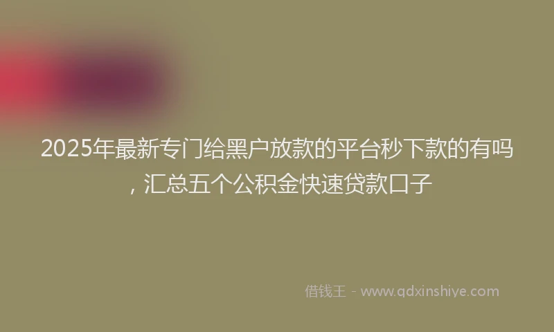 2025年最新专门给黑户放款的平台秒下款的有吗，汇总五个公积金快速贷款口子