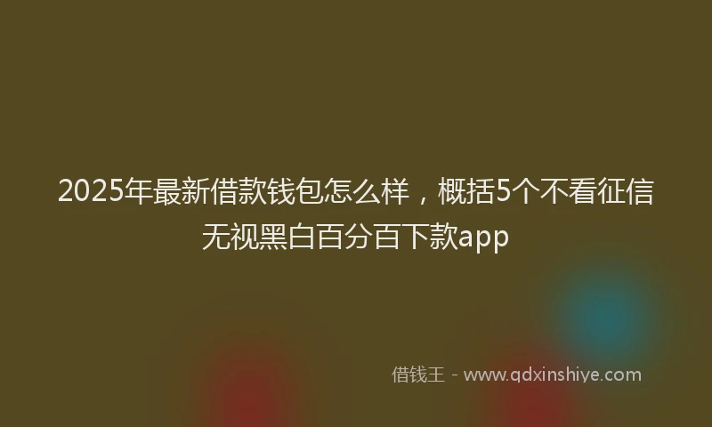 2025年最新借款钱包怎么样，概括5个不看征信无视黑白百分百下款app