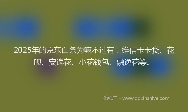 2025年的京东白条为嘛不过有：维信卡卡贷、花呗、安逸花、小花钱包、融逸花等。