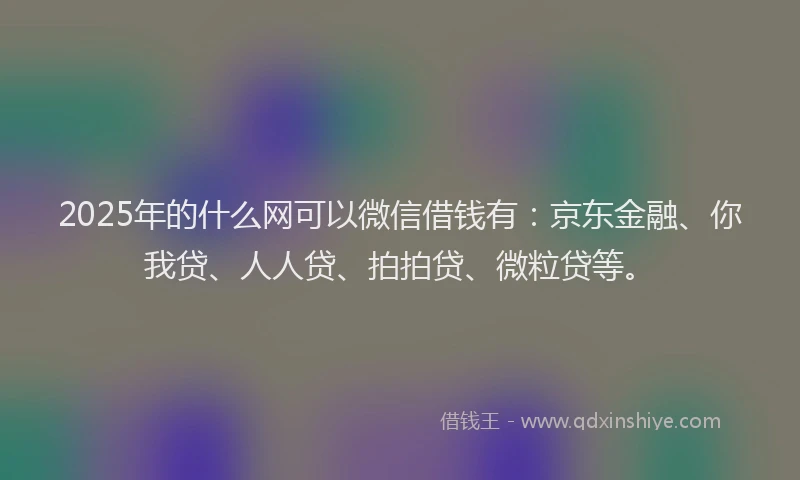 2025年的什么网可以微信借钱有：京东金融、你我贷、人人贷、拍拍贷、微粒贷等。