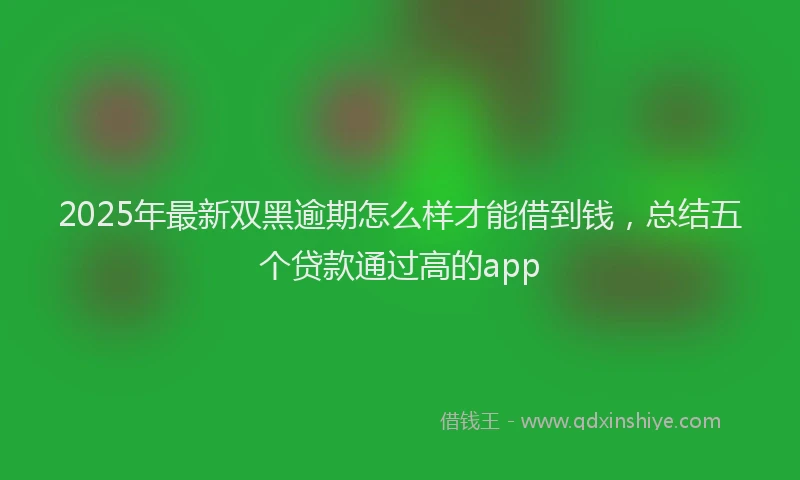 2025年最新双黑逾期怎么样才能借到钱，总结五个贷款通过高的app