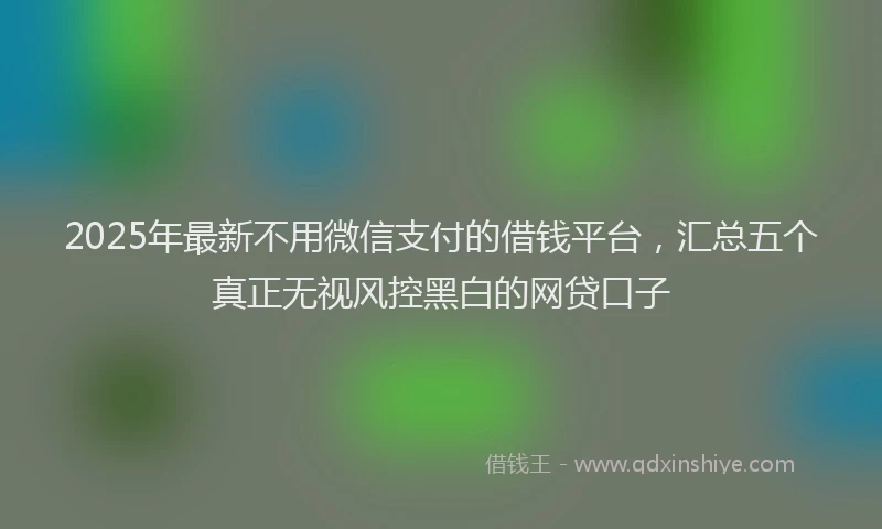 2025年最新不用微信支付的借钱平台，汇总五个真正无视风控黑白的网贷口子
