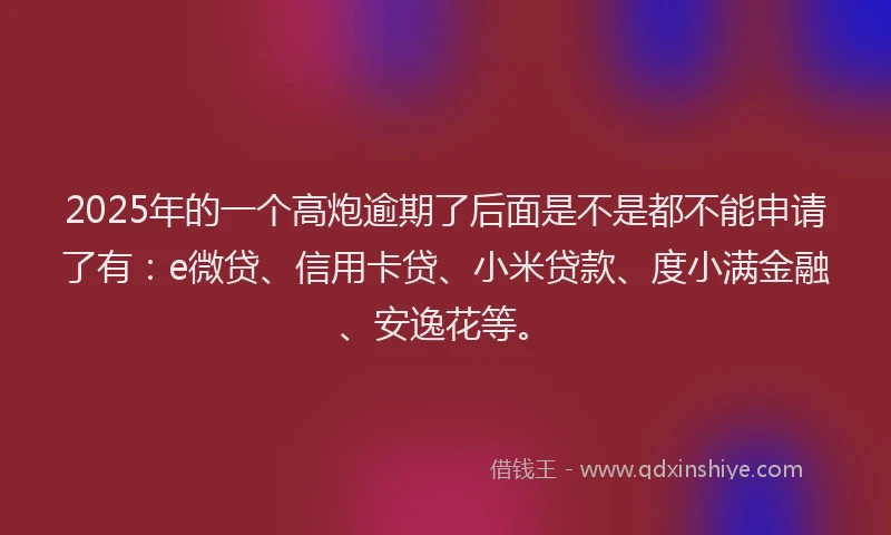 2025年的一个高炮逾期了后面是不是都不能申请了有：e微贷、信用卡贷、小米贷款、度小满金融、安逸花等。
