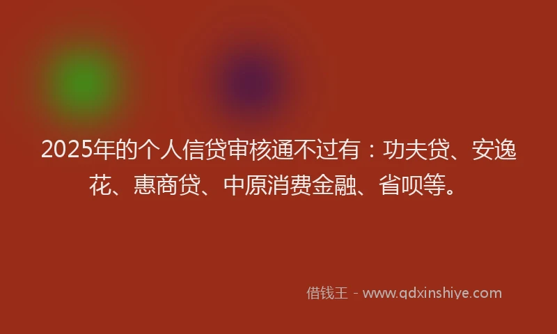 2025年的个人信贷审核通不过有：功夫贷、安逸花、惠商贷、中原消费金融、省呗等。