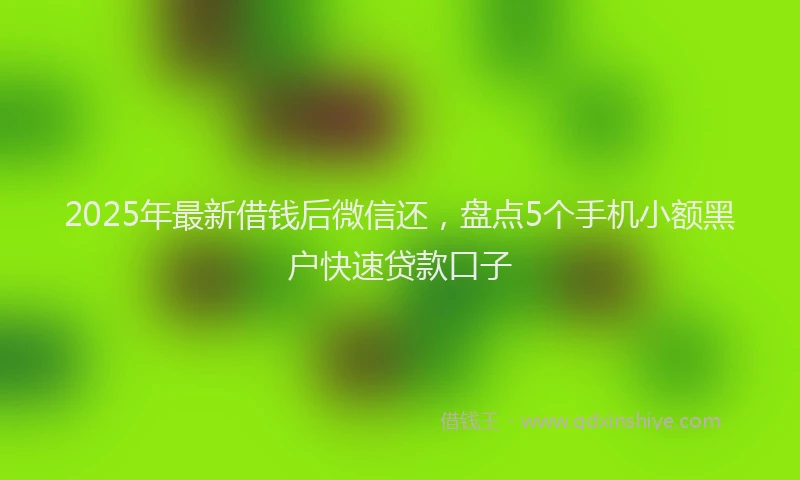 2025年最新借钱后微信还，盘点5个手机小额黑户快速贷款口子