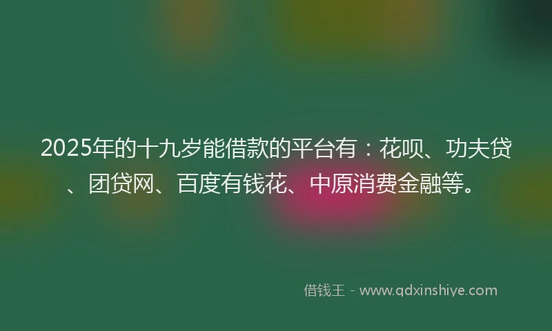 2025年的十九岁能借款的平台有：花呗、功夫贷、团贷网、百度有钱花、中原消费金融等。