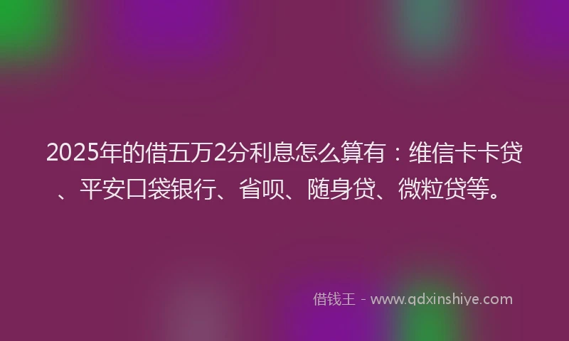 2025年的借五万2分利息怎么算有：维信卡卡贷、平安口袋银行、省呗、随身贷、微粒贷等。