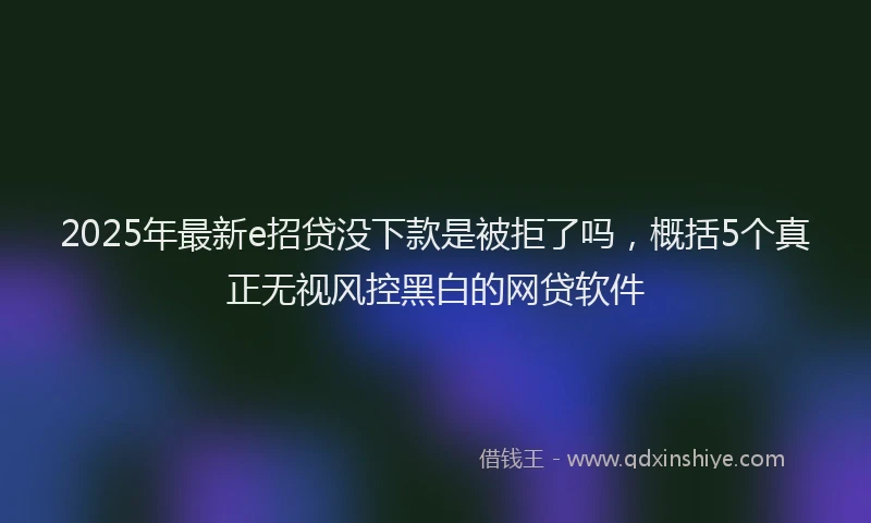 2025年最新e招贷没下款是被拒了吗，概括5个真正无视风控黑白的网贷软件