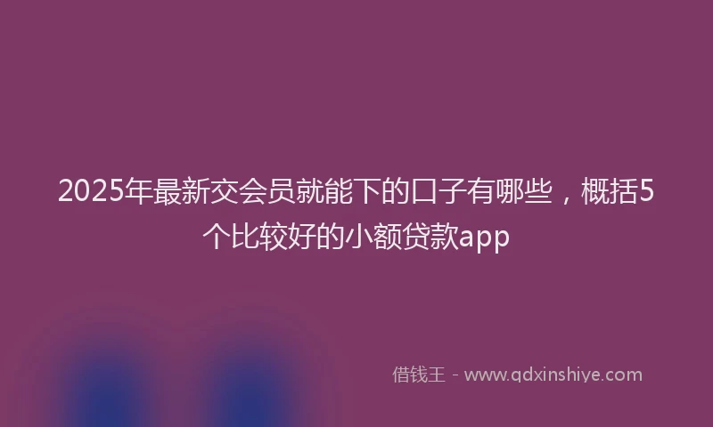 2025年最新交会员就能下的口子有哪些，概括5个比较好的小额贷款app