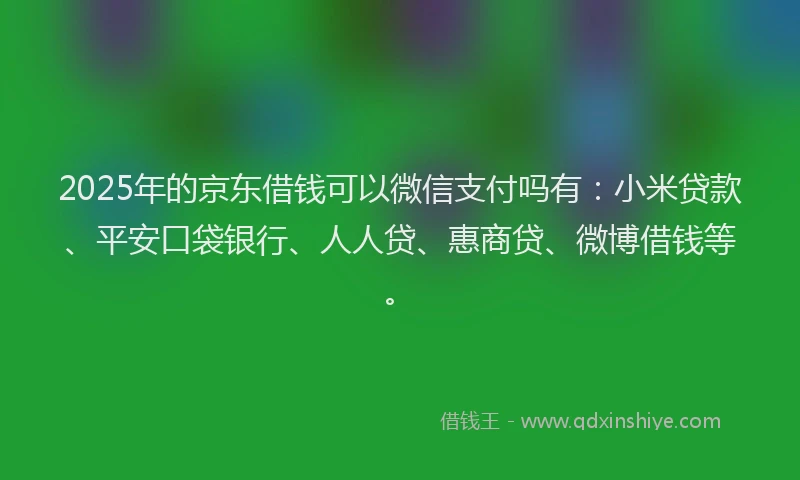 2025年的京东借钱可以微信支付吗有：小米贷款、平安口袋银行、人人贷、惠商贷、微博借钱等。