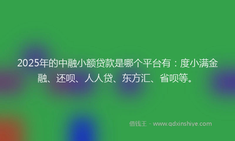 2025年的中融小额贷款是哪个平台有：度小满金融、还呗、人人贷、东方汇、省呗等。