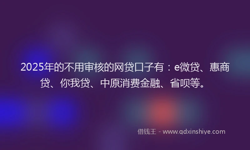 2025年的不用审核的网贷口子有：e微贷、惠商贷、你我贷、中原消费金融、省呗等。
