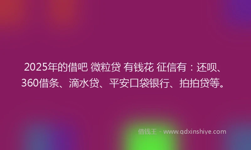 2025年的借吧 微粒贷 有钱花 征信有：还呗、360借条、滴水贷、平安口袋银行、拍拍贷等。