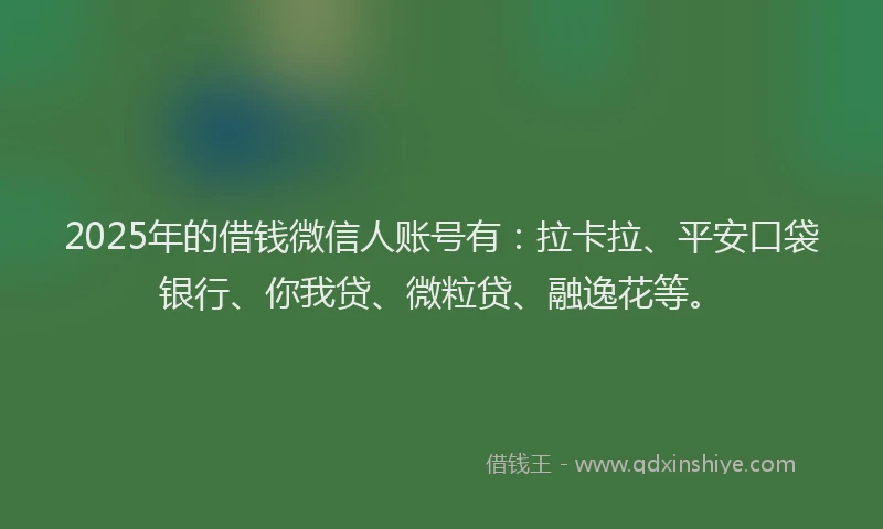 2025年的借钱微信人账号有：拉卡拉、平安口袋银行、你我贷、微粒贷、融逸花等。