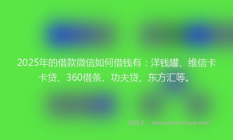 2025年的借款微信如何借钱有：洋钱罐、维信卡卡贷、360借条、功夫贷、东方汇等。