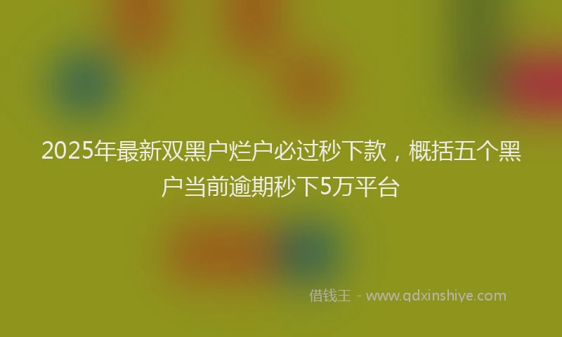 2025年最新双黑户烂户必过秒下款，概括五个黑户当前逾期秒下5万平台