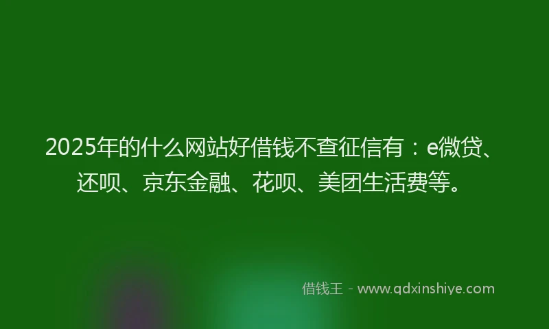 2025年的什么网站好借钱不查征信有：e微贷、还呗、京东金融、花呗、美团生活费等。