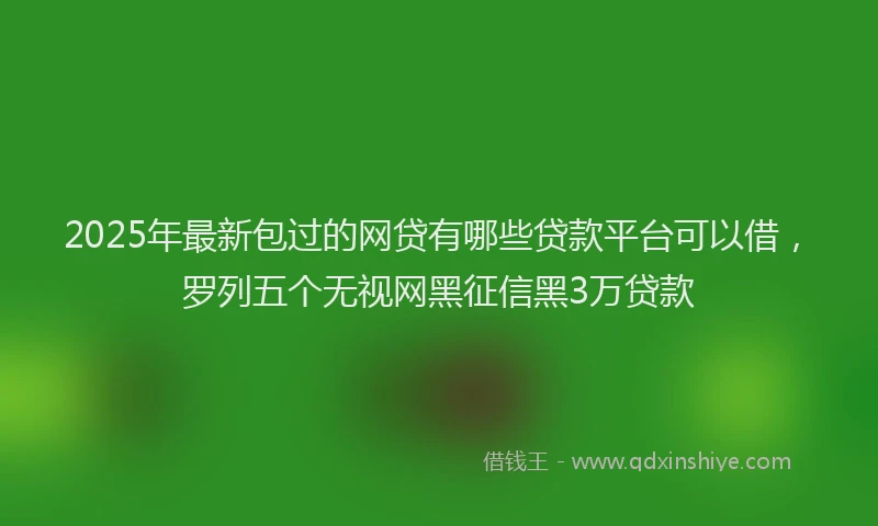 2025年最新包过的网贷有哪些贷款平台可以借，罗列五个无视网黑征信黑3万贷款