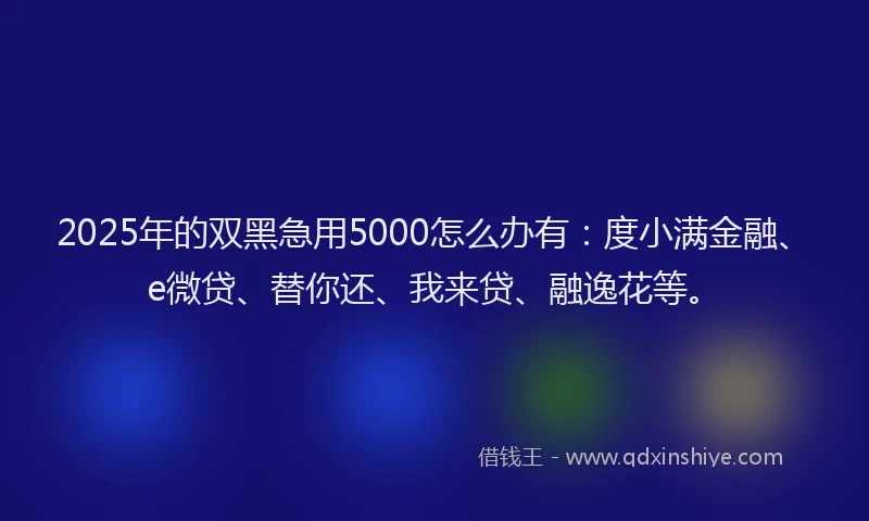 2025年的双黑急用5000怎么办有：度小满金融、e微贷、替你还、我来贷、融逸花等。