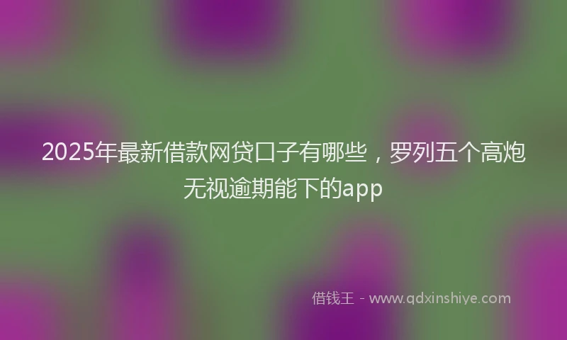 2025年最新借款网贷口子有哪些，罗列五个高炮无视逾期能下的app