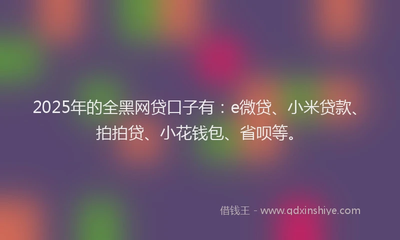 2025年的全黑网贷口子有：e微贷、小米贷款、拍拍贷、小花钱包、省呗等。
