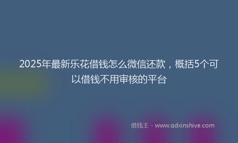 2025年最新乐花借钱怎么微信还款，概括5个可以借钱不用审核的平台