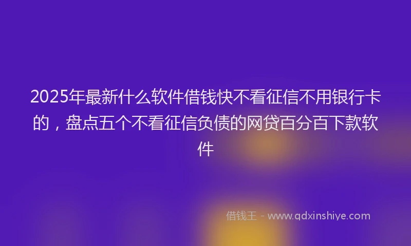 2025年最新什么软件借钱快不看征信不用银行卡的，盘点五个不看征信负债的网贷百分百下款软件