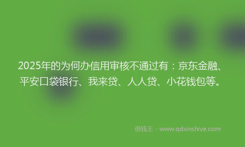 2025年的为何办信用审核不通过有：京东金融、平安口袋银行、我来贷、人人贷、小花钱包等。