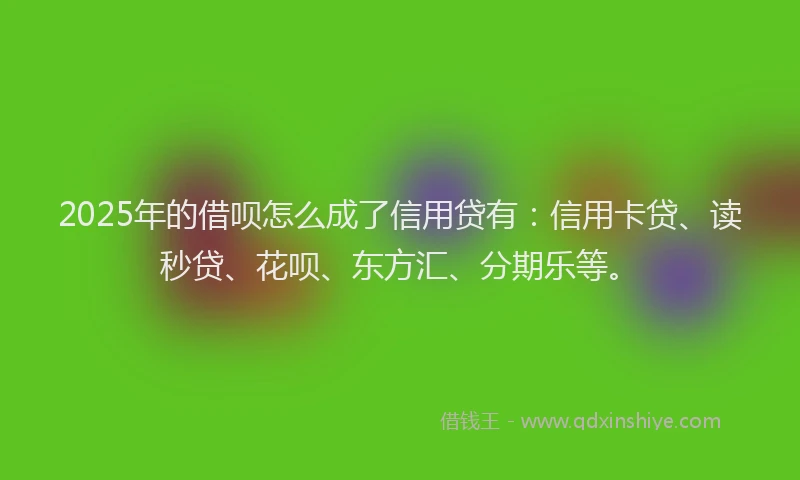 2025年的借呗怎么成了信用贷有：信用卡贷、读秒贷、花呗、东方汇、分期乐等。