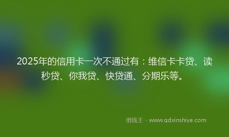 2025年的信用卡一次不通过有：维信卡卡贷、读秒贷、你我贷、快贷通、分期乐等。