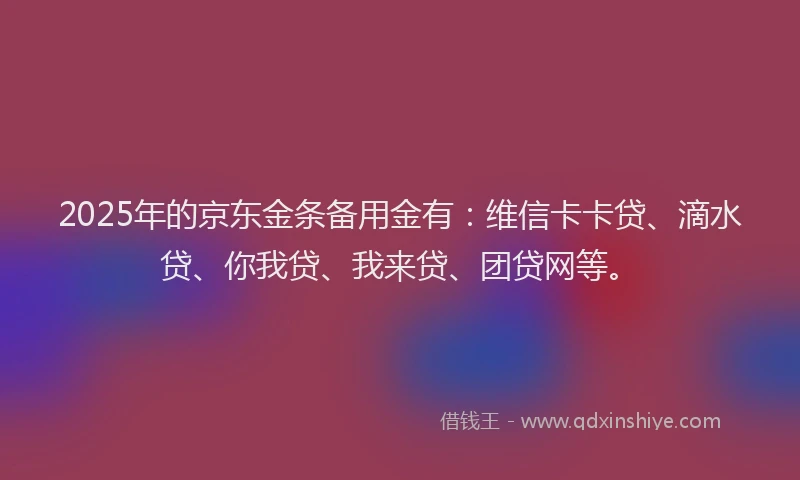 2025年的京东金条备用金有：维信卡卡贷、滴水贷、你我贷、我来贷、团贷网等。
