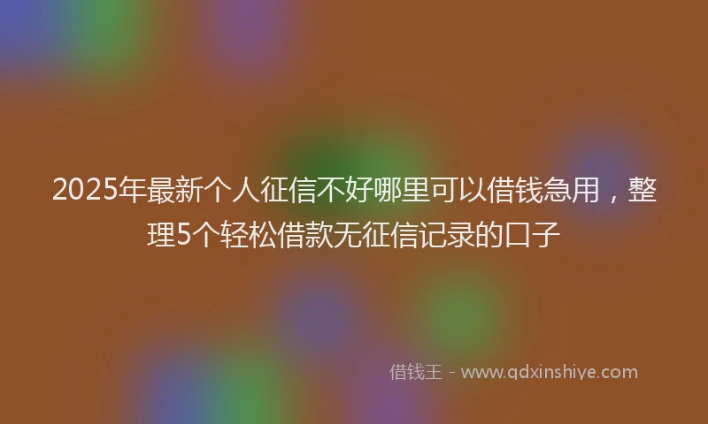 2025年最新个人征信不好哪里可以借钱急用，整理5个轻松借款无征信记录的口子