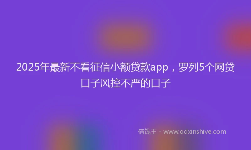 2025年最新不看征信小额贷款app，罗列5个网贷口子风控不严的口子