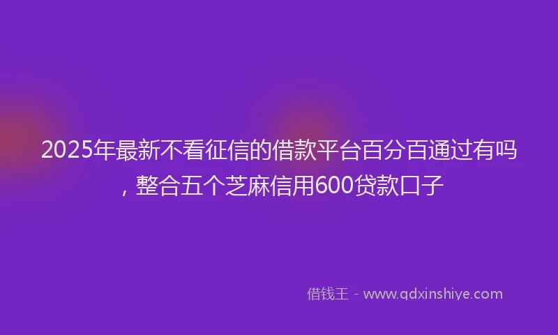 2025年最新不看征信的借款平台百分百通过有吗，整合五个芝麻信用600贷款口子
