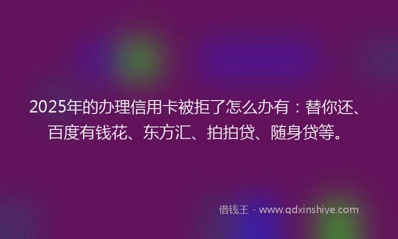 2025年的办理信用卡被拒了怎么办有：替你还、百度有钱花、东方汇、拍拍贷、随身贷等。
