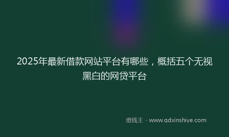 2025年最新借款网站平台有哪些，概括五个无视黑白的网贷平台