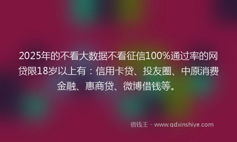2025年的不看大数据不看征信100%通过率的网贷限18岁以上有：信用卡贷、投友圈、中原消费金融、惠商贷、微博借钱等。