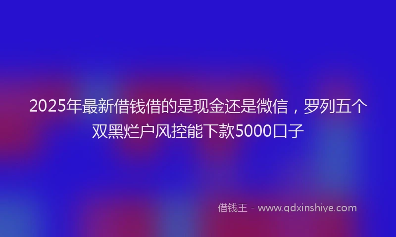 2025年最新借钱借的是现金还是微信，罗列五个双黑烂户风控能下款5000口子