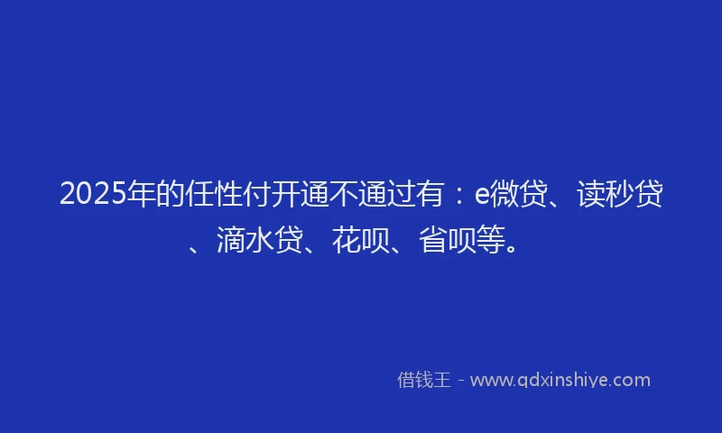 2025年的任性付开通不通过有：e微贷、读秒贷、滴水贷、花呗、省呗等。