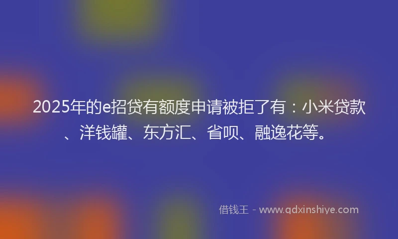 2025年的e招贷有额度申请被拒了有：小米贷款、洋钱罐、东方汇、省呗、融逸花等。